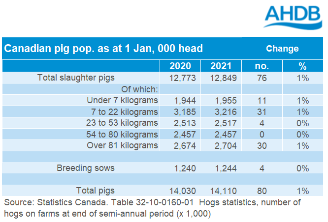 Table showing Canadian pig numbers
